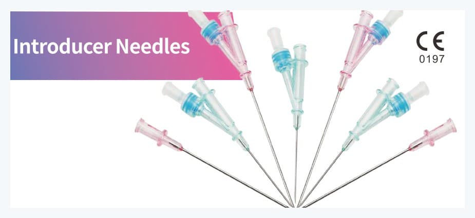Introducer needles